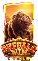 Buffalo Win