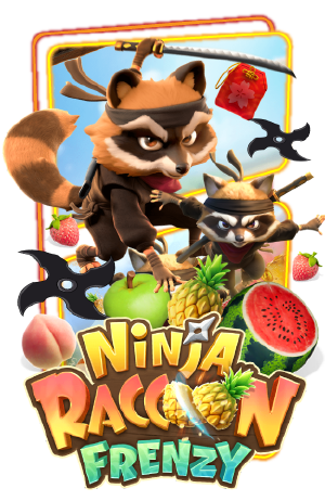 Ninja Raccoon